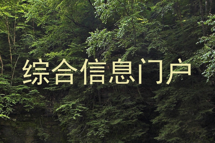 综合信息门户