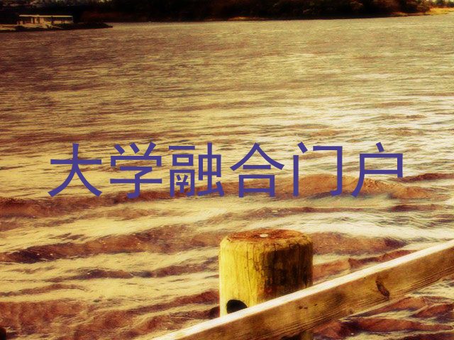 大学融合门户
