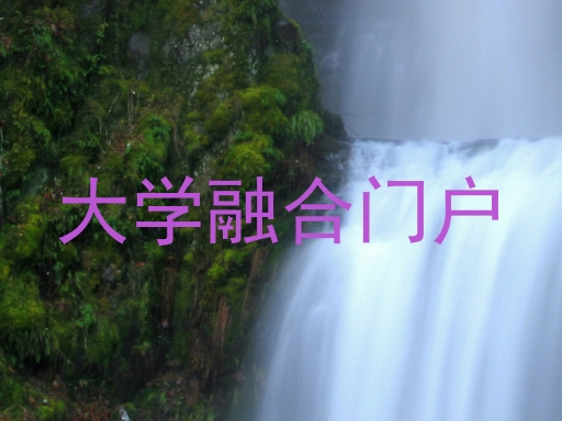 大学融合门户