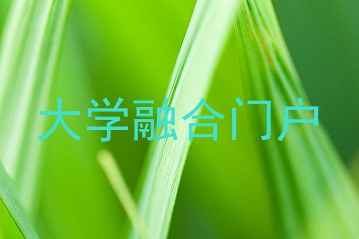 大学融合门户