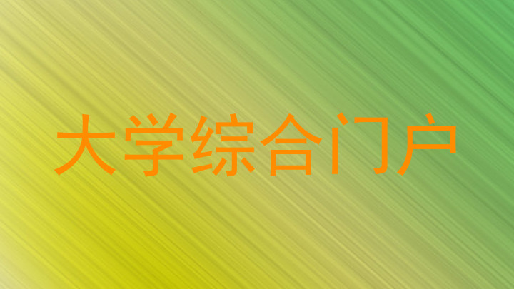 大学综合门户