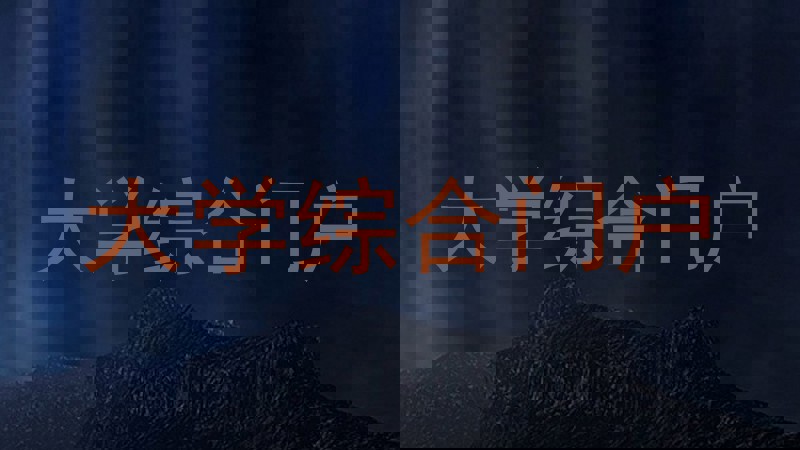 大学综合门户