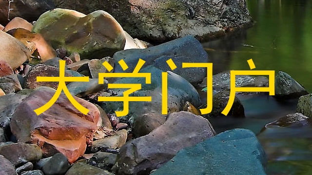 大学门户