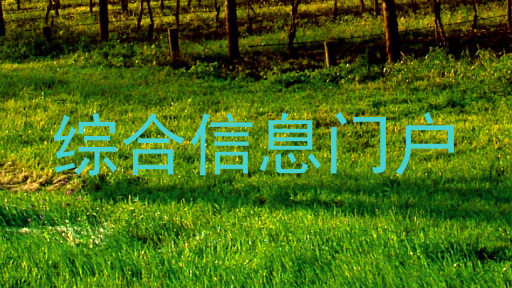综合信息门户
