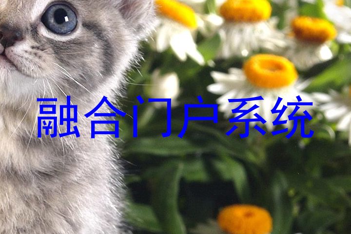融合门户系统