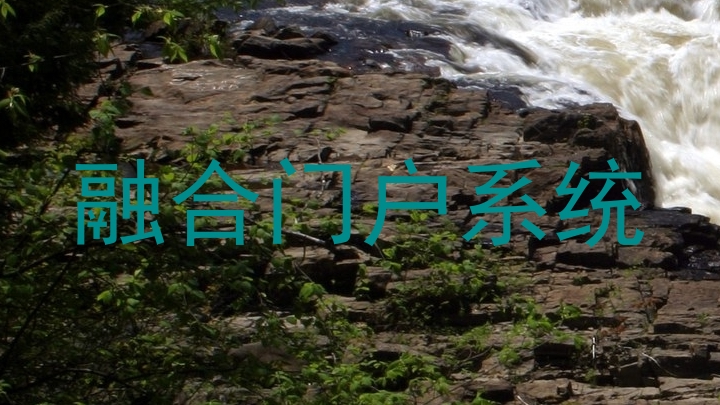 融合门户系统