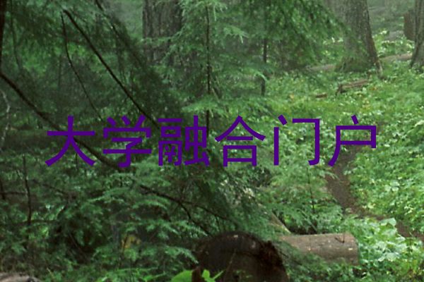 大学融合门户