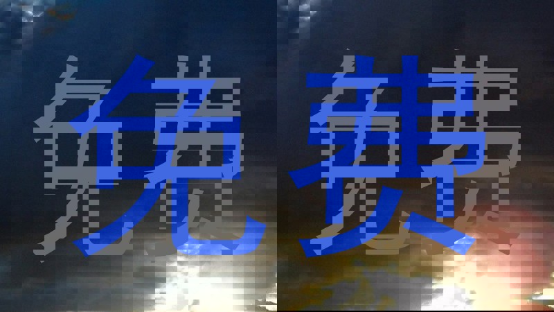 免费
