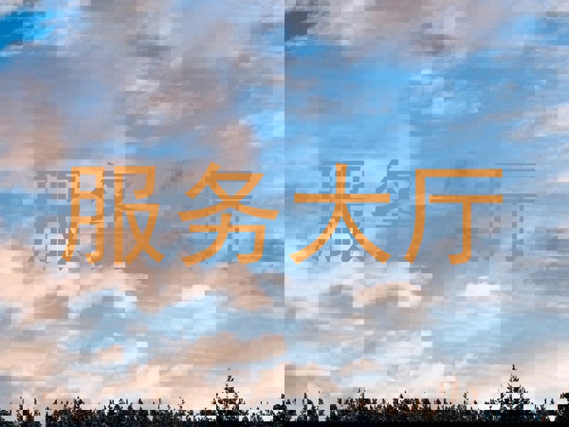 服务大厅