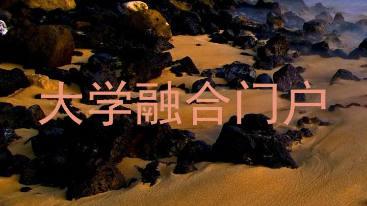 大学融合门户