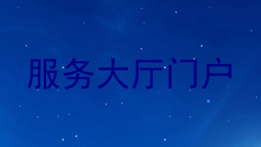 服务大厅门户