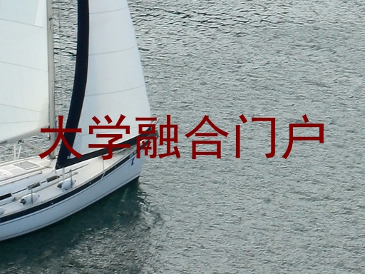 大学融合门户