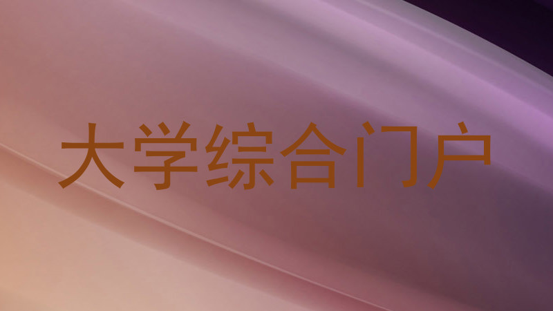 大学综合门户