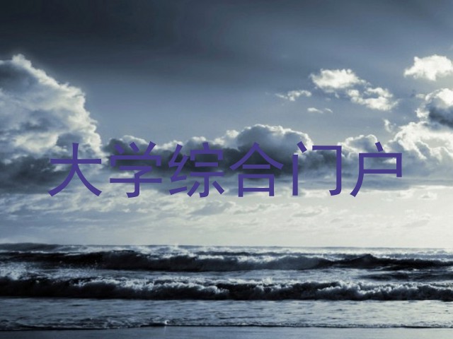 大学综合门户