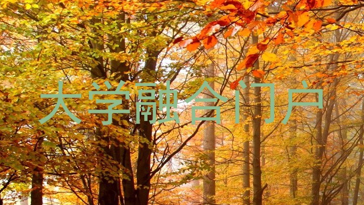 大学融合门户