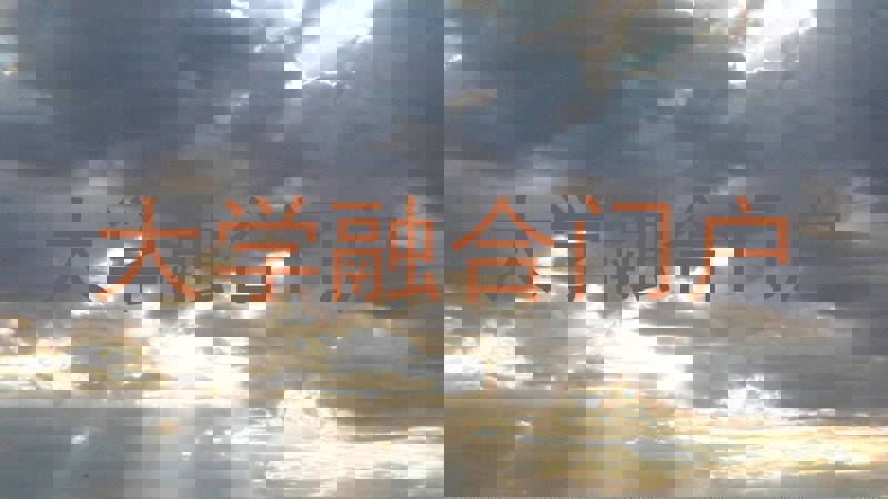 大学融合门户