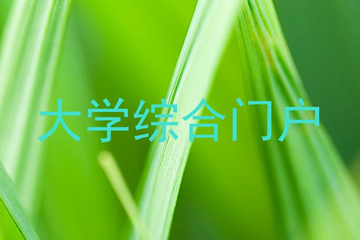 大学综合门户