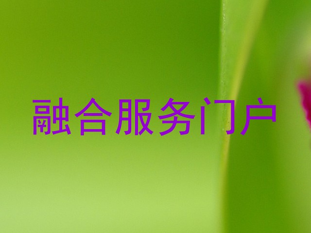 融合服务门户