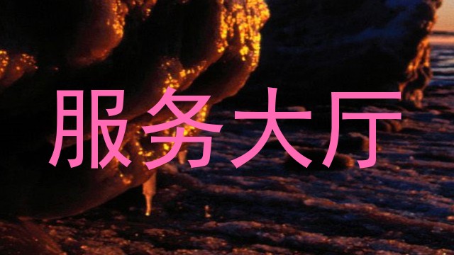 服务大厅