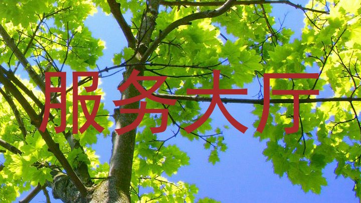 服务大厅