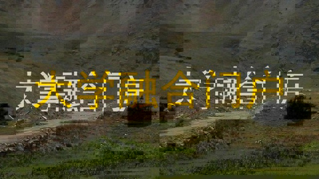 大学融合门户