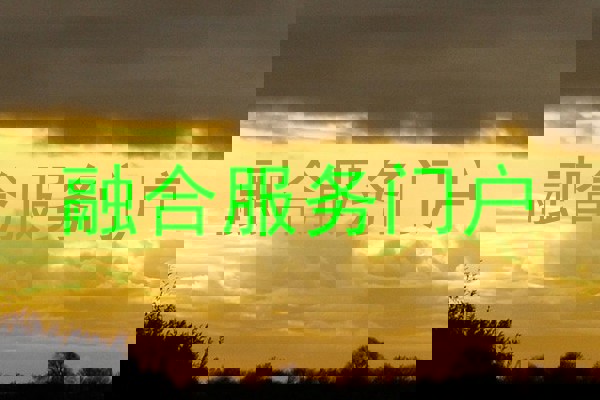 融合服务门户