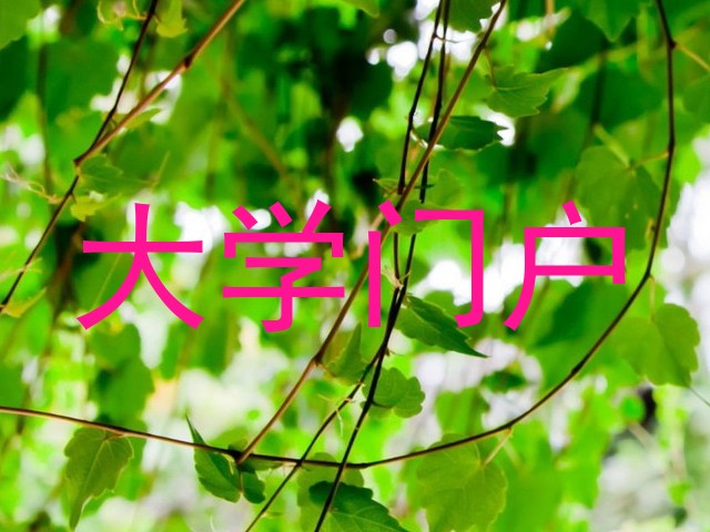 大学门户
