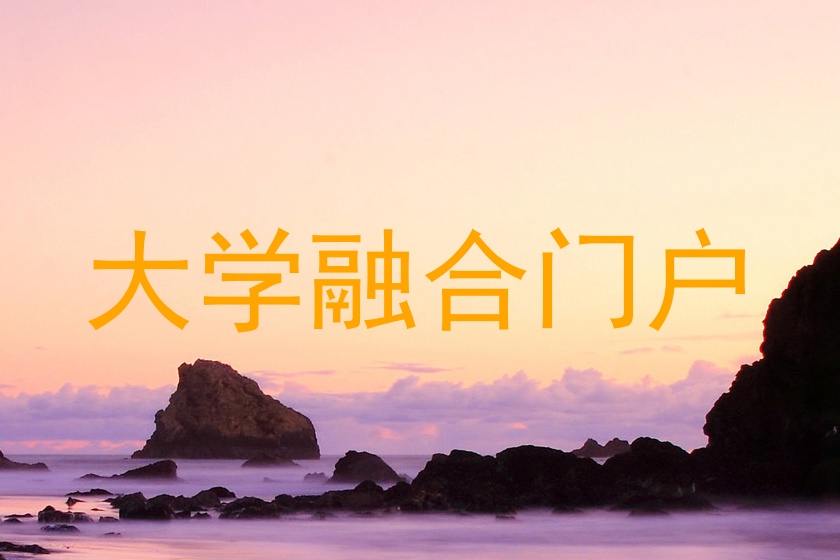 大学融合门户