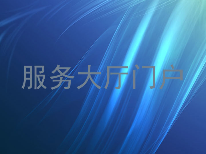 服务大厅门户