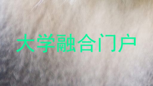 大学融合门户
