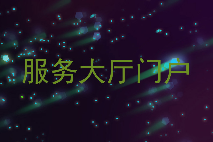 服务大厅门户