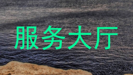 服务大厅