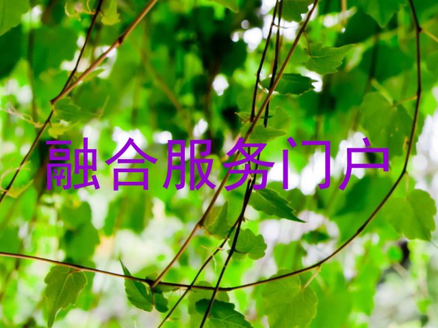 融合服务门户