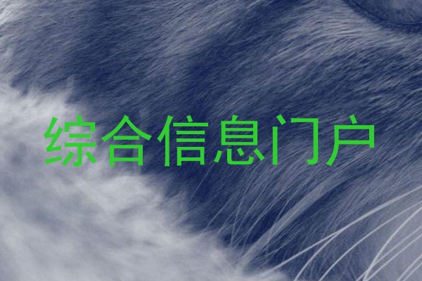 综合信息门户