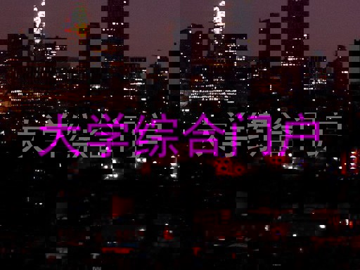 大学综合门户