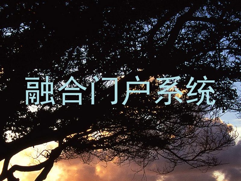 融合门户系统