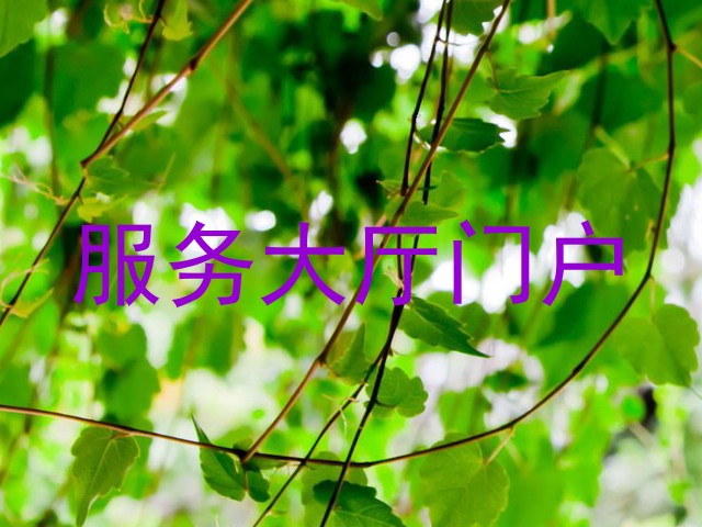 服务大厅门户