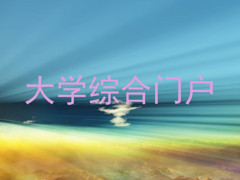 大学综合门户