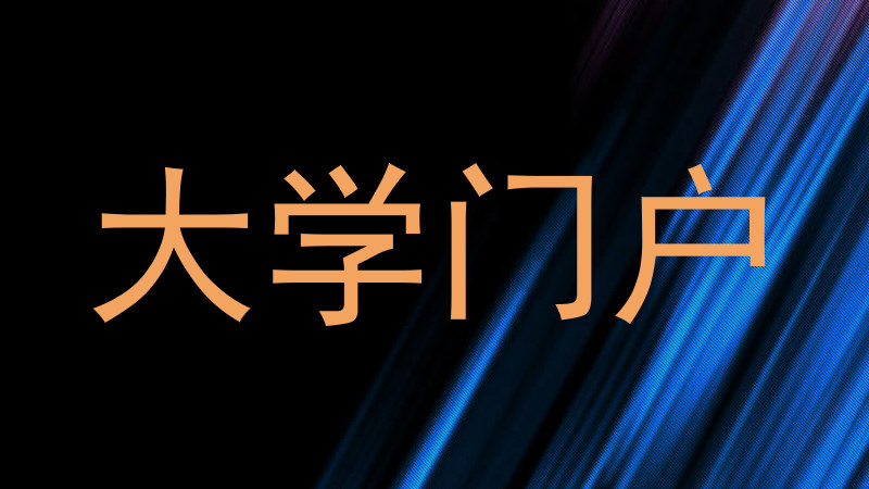 大学门户