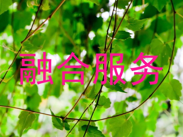 融合服务