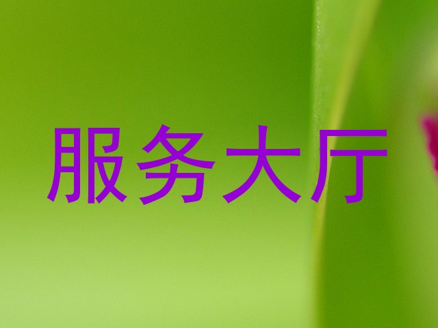 服务大厅