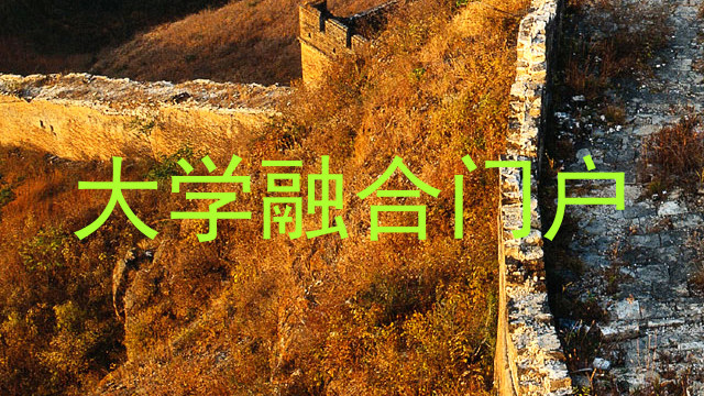 大学融合门户