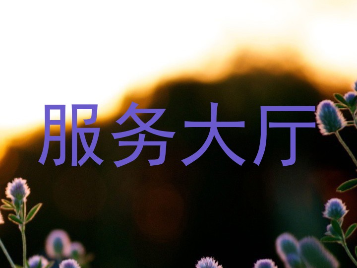 服务大厅