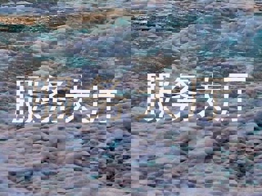 服务大厅