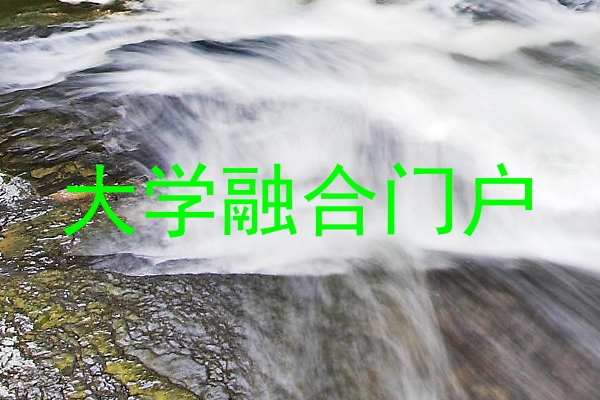 大学融合门户