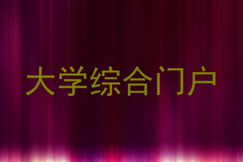 大学综合门户