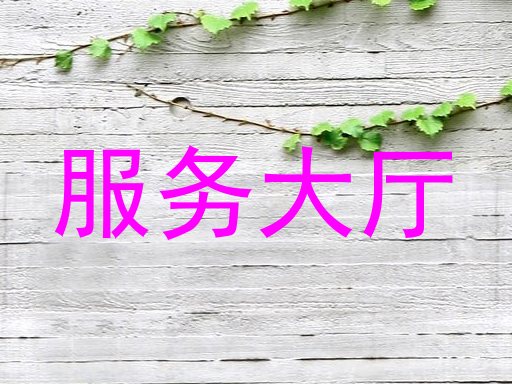 服务大厅