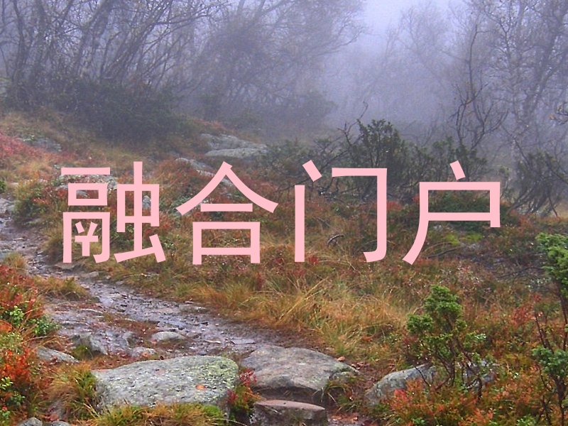 融合门户