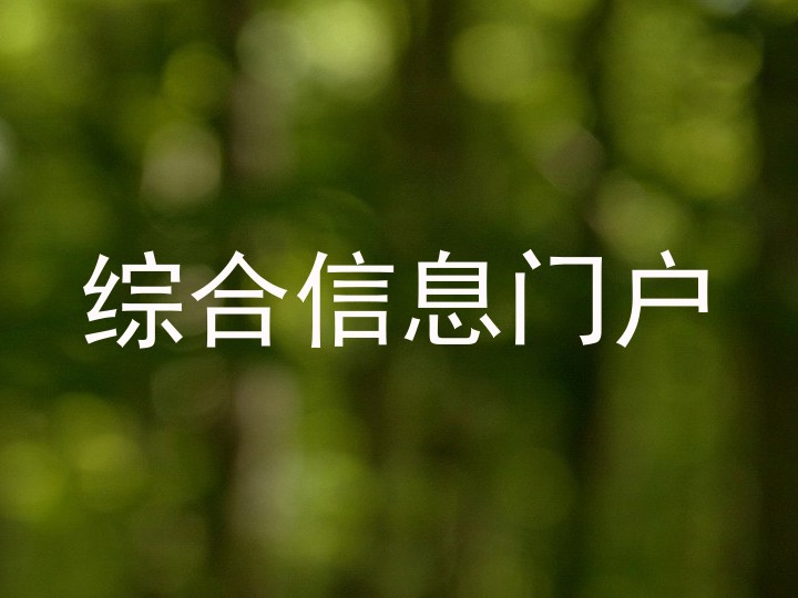综合信息门户