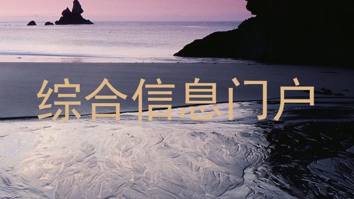 综合信息门户